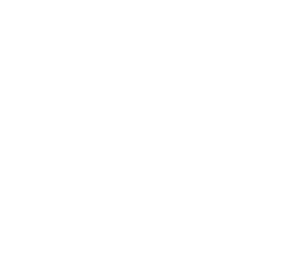 Silver Roof Rails  Back Bumper            Protector  Inner Door Sill Plates  Carbon LED Door -           Sill Covers