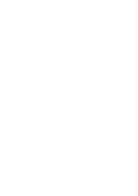 Silver Roof Rails  Stainless Steel-           Side Rails  Bonnet Deflector  Rear Bumper Protector  Chrome Grille Strips  Chrome Mirror Covers  Inner Door Sill Plates Carbon LED Door -           Sill Covers